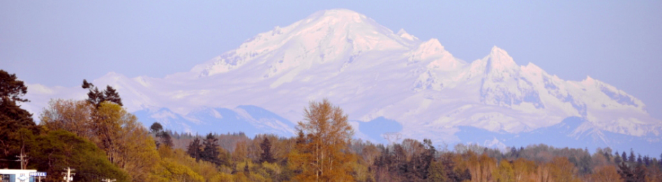 Badesha Associates Abbotsford Mobile Notary